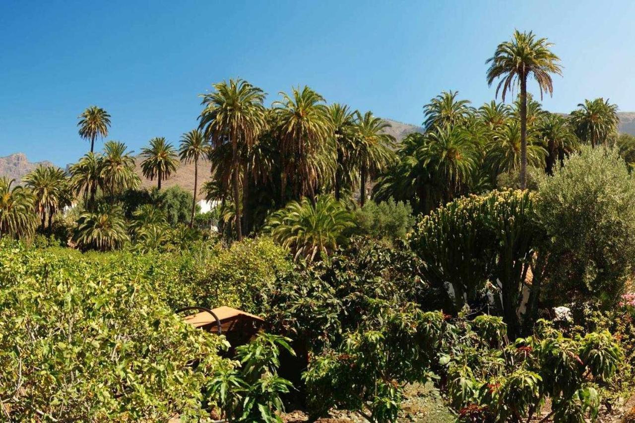 Casa Rural La Fuente De La Flora Santa Lucia Dış mekan fotoğraf